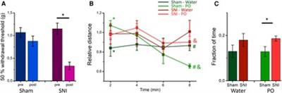 Differential behavioral response to predator odor in neuropathic pain in mice